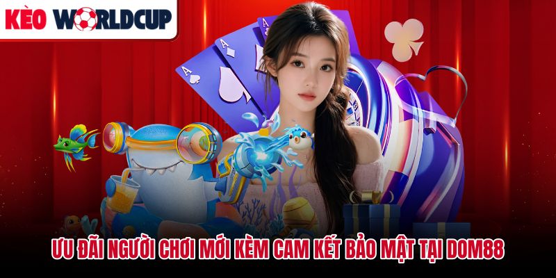 Chương trình ưu đãi tân thủ và chính sách bảomật Dom88